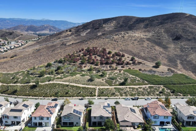 137 White Bark Lane, Simi Valley, CA 93065 — photo 49 of 57