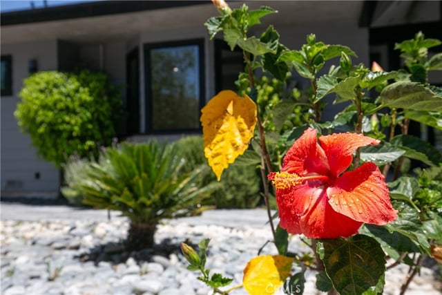 17030 Countess, Encino, CA 91436 — photo 4 of 54
