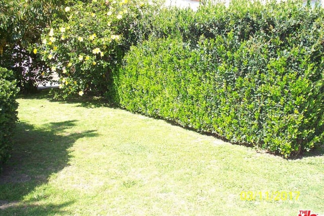 4354 Coolidge Avenue, Los Angeles, CA 90066 — photo 3 of 69