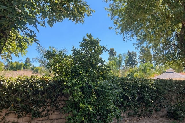 22611 Michale Street, West Hills, CA 91304 — photo 32 of 36