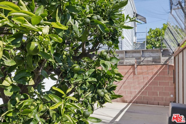 12022 Marshall Street, Culver City, CA 90230 — photo 25 of 32