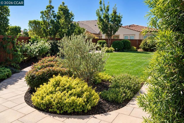 1586 Meritage Loop, Brentwood, CA 94513 — photo 39 of 72