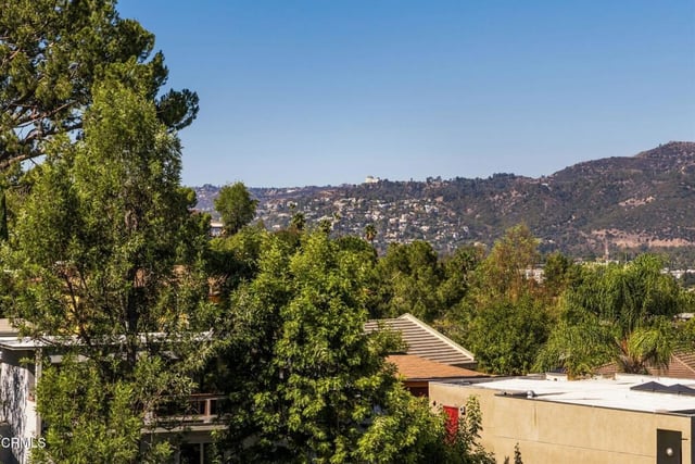1105 Olancha Drive, Los Angeles, CA 90065 — photo 39 of 48