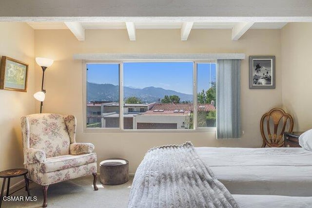 784 N Woodlawn Drive, Thousand Oaks, CA 91360 — photo 19 of 32