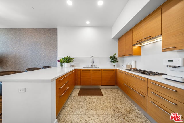 900 W Olympic Boulevard 28E, Los Angeles, CA 90015 — photo 7 of 46