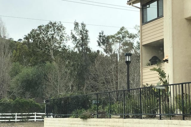 26345 W Bravo Lane, Calabasas, CA 91302 — photo 37 of 50