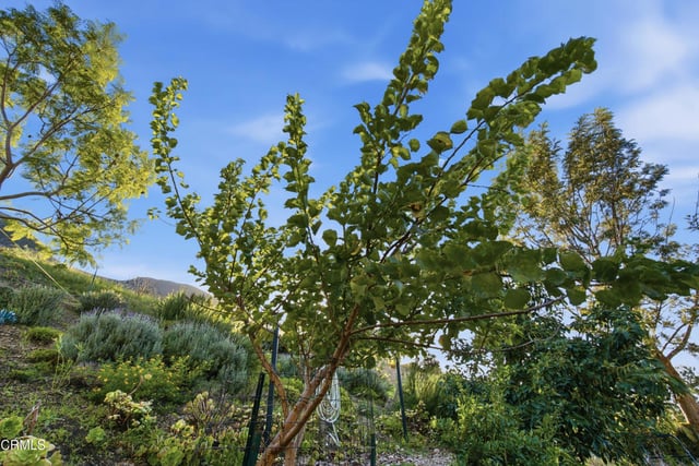 6446 San Como Lane, Camarillo, CA 93012 — photo 47 of 64