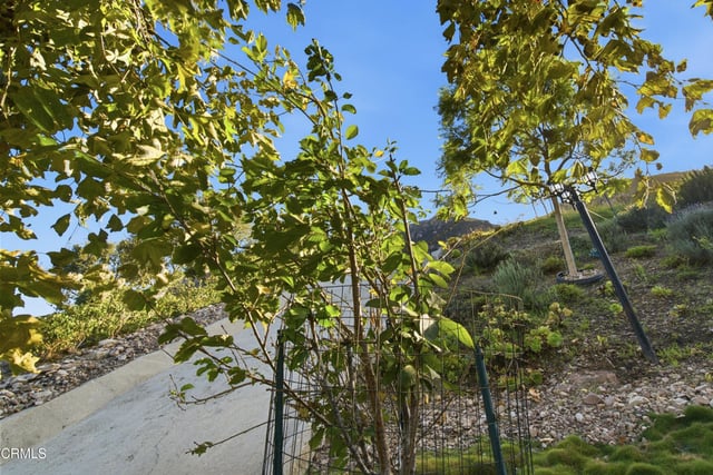 6446 San Como Lane, Camarillo, CA 93012 — photo 48 of 64
