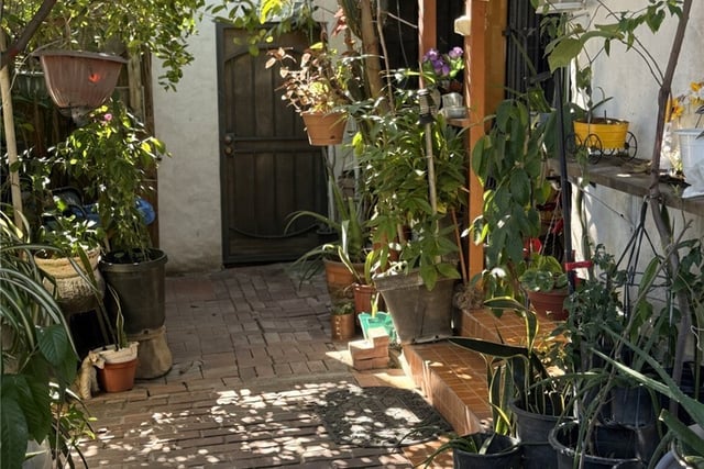 438 E 121st, Los Angeles, CA 90061 — photo 3 of 15