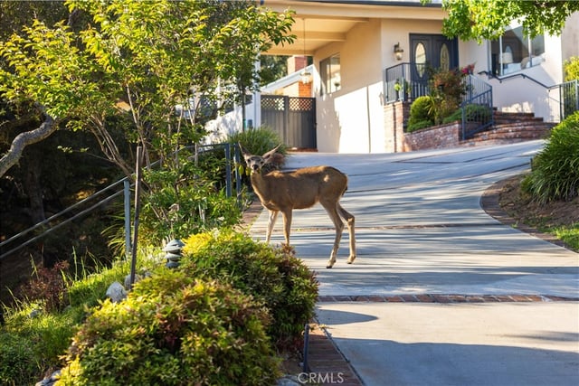 1001 Briarcliff, Monrovia, CA 91016 — photo 47 of 71