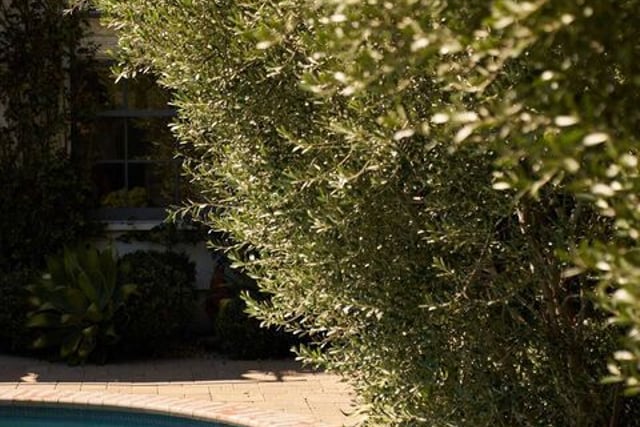 638 N Cherokee Avenue, Los Angeles, CA 90004 — photo 13 of 23