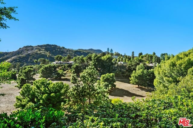 3031 Elvido Drive, Los Angeles, CA 90049 — photo 54 of 62