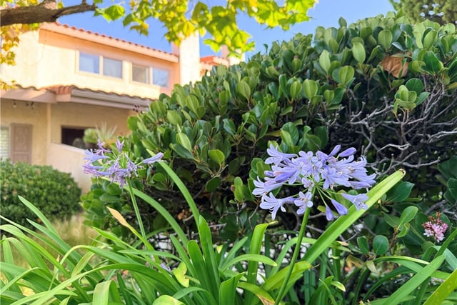 28302 Ridgefalls Court, Rancho Palos Verdes, CA 90275 — photo 29 of 48