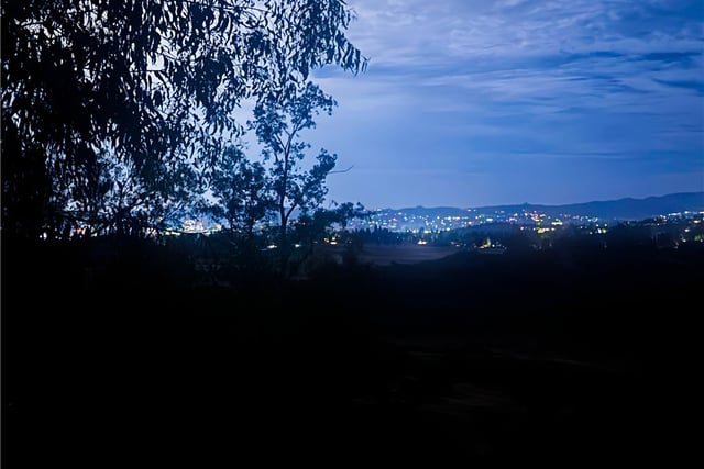 23834 Box Canyon Rd, West Hills, CA 91304 — photo 34 of 34